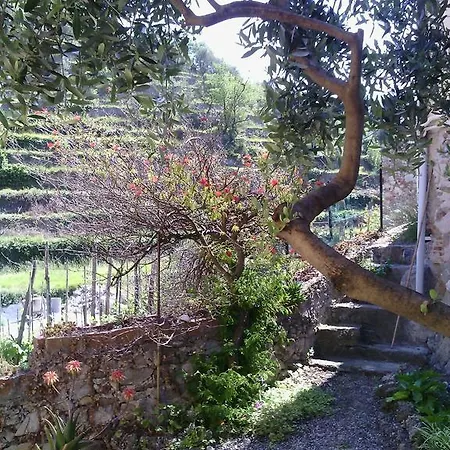 Auriva Apartamento *