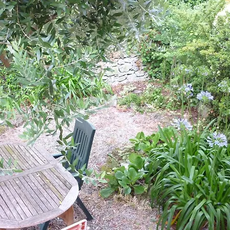 Apartamento Auriva Noli