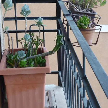 Auriva Apartment