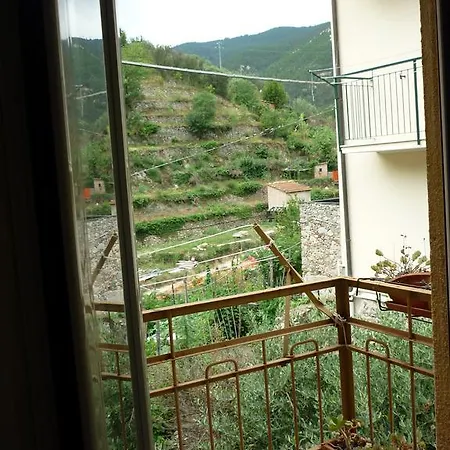Auriva Noli